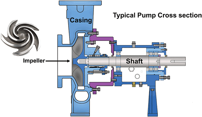 pump cross section