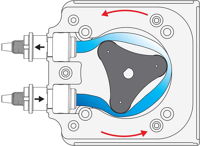 peristaltic pump head