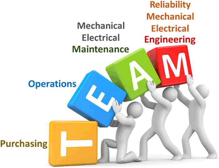 team profiles