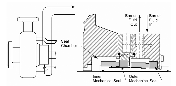 Dual seal with Plan 54 flush