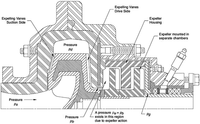 sealless pump