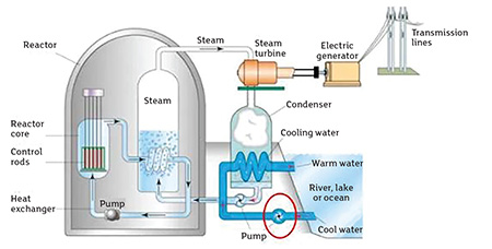 nuclear power plant layout