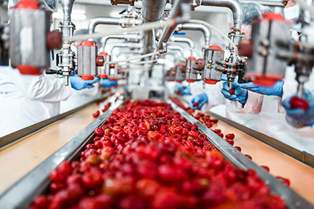 Workers de-seeding cherries in factory