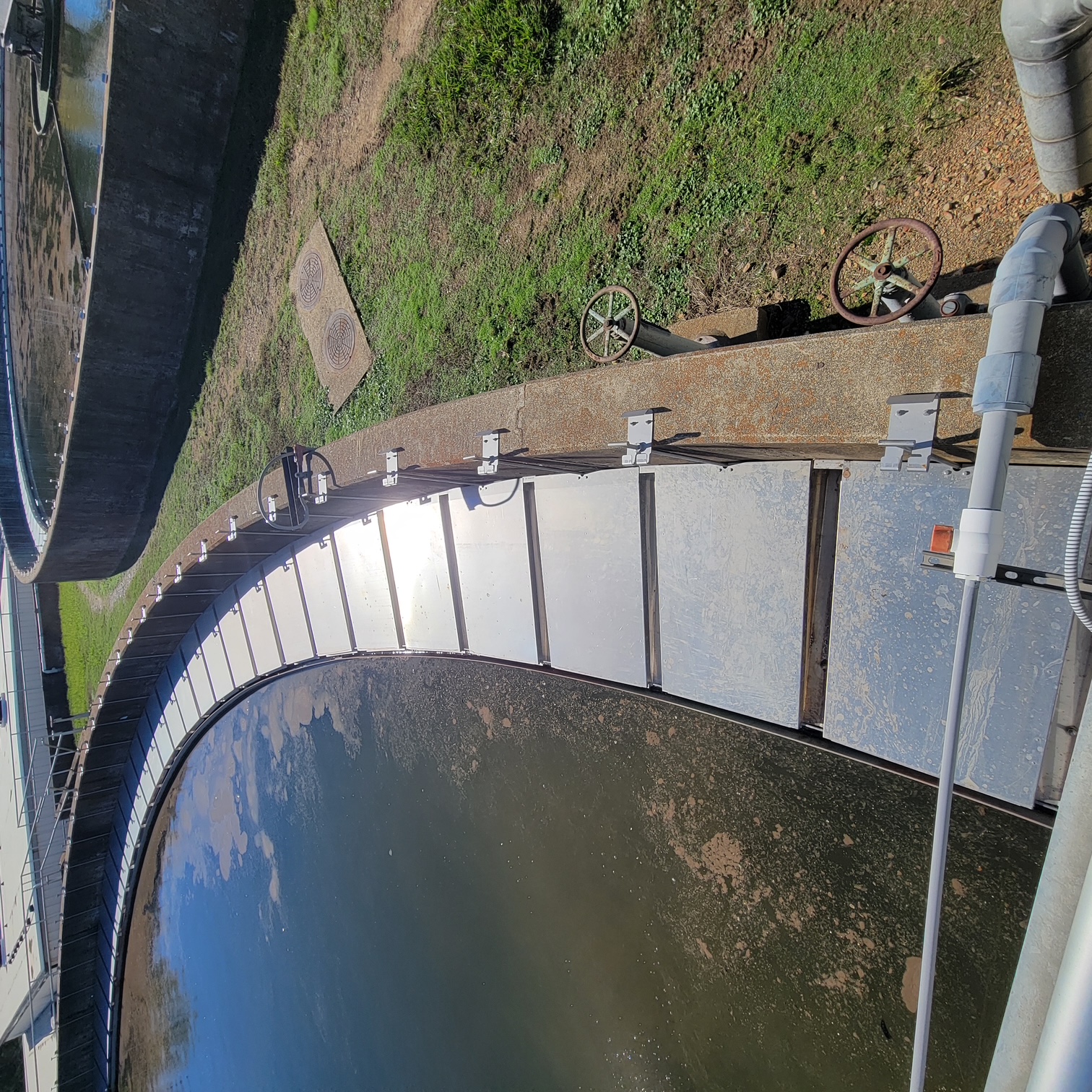 IMAGE 1: Excess of algae bloom in the tank (Images courtesy of Rebuild-it)