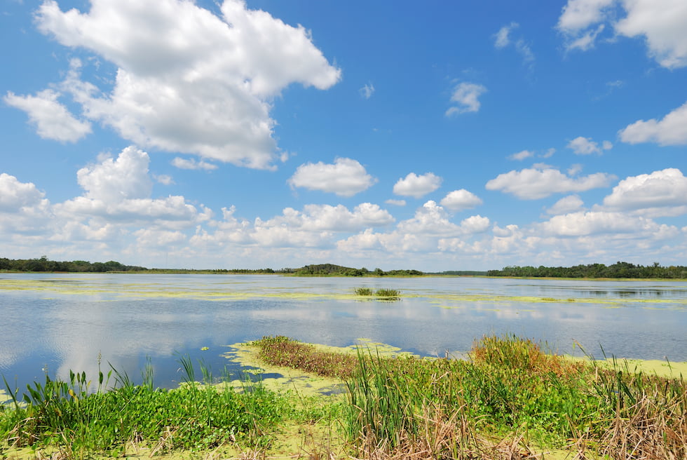 orlando wetlands