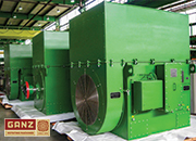 Need electric motors? GANZ has got you covered!