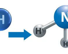 The chemical breakdown of ammonia