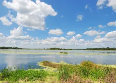 orlando wetlands